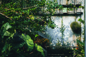 Bringing nature back to local neighbourhoods in Fingal