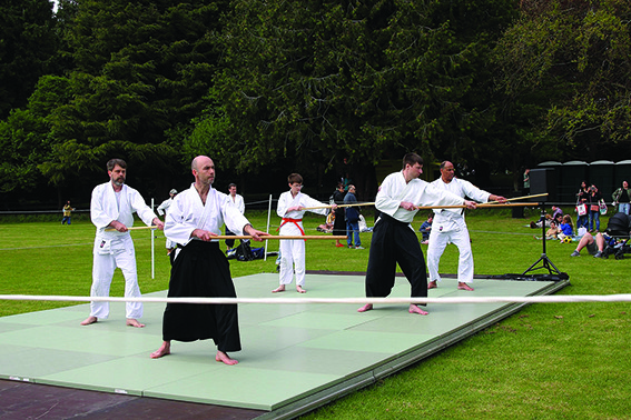 Takemusu Blossoms at Japanese Hanami Celebrations