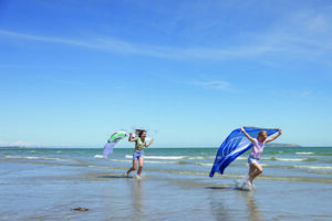 Fingal beaches retain prestigious Blue Flag and Green Coast Awards