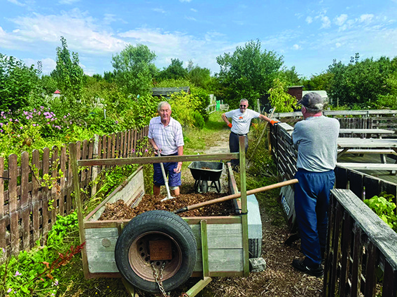 5 DL 02 Shedders at Work at Turvey Allotments WEB