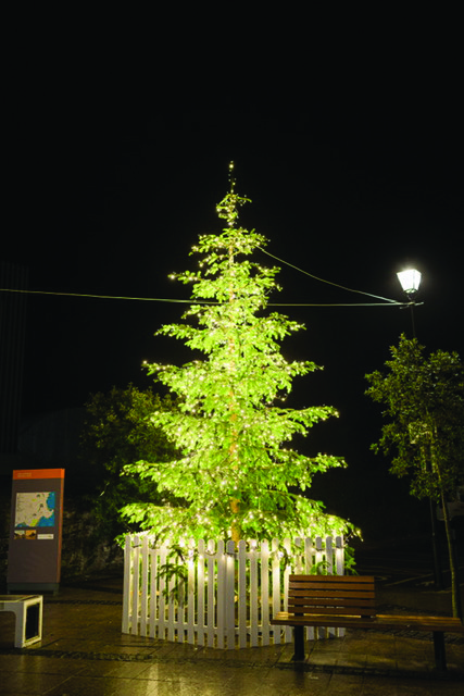 1 RL 24 WEB Keep Rush Lit This Christmas! 1 RL 24 WEB