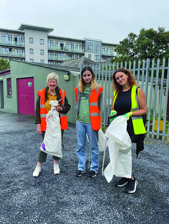 1 SL 01 WEB Swords Tidy Towns at the Heart of the Community 1 SL 01 WEB