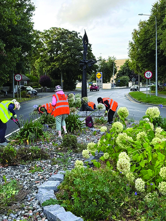 1 SL 12 WEB Swords Tidy Towns at the Heart of the Community 1 SL 12 WEB