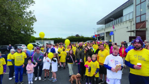 Annual Valley Walk Raises Vital Funds for Irish Cancer Society
