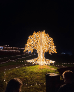 2 04 WEB Make this Christmas even more special by buying Irish 2 04 WEB