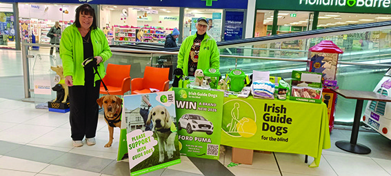 Happy New Year from the Balbriggan/North County Dublin Guide Dogs