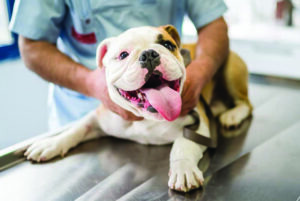 “New Year, New Goals”