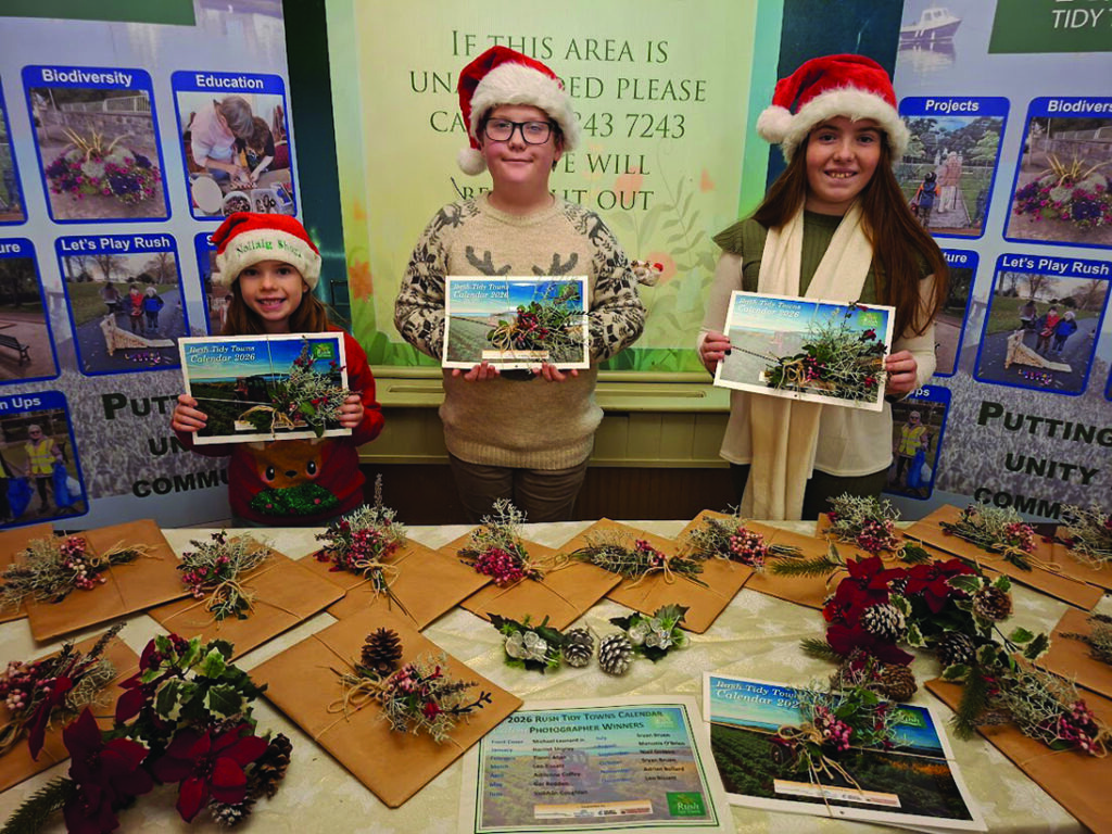 1 RL 07 Rush Tidy Towns back to work following Christmas break 1 RL 07