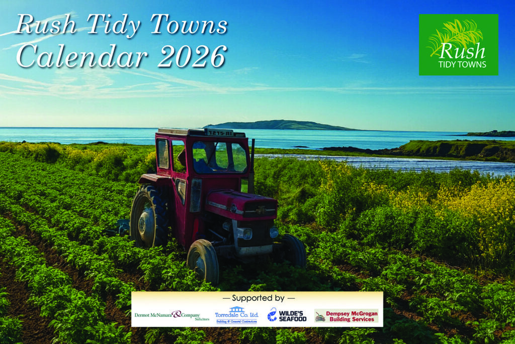 1 RL 09 Rush Tidy Towns back to work following Christmas break 1 RL 09