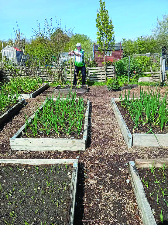 Busy Summer ahead for Men’s Shed