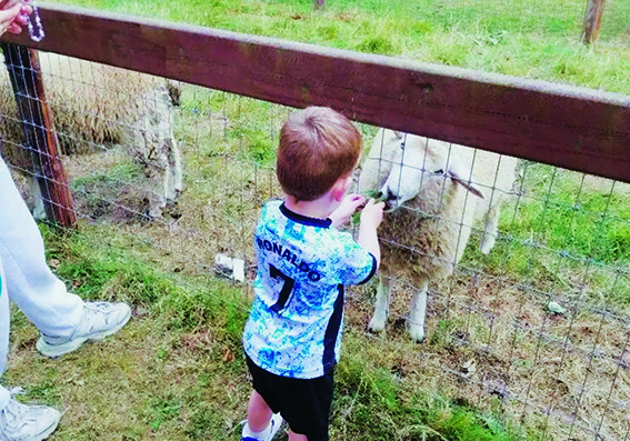 Summer Fun Has Begun!!