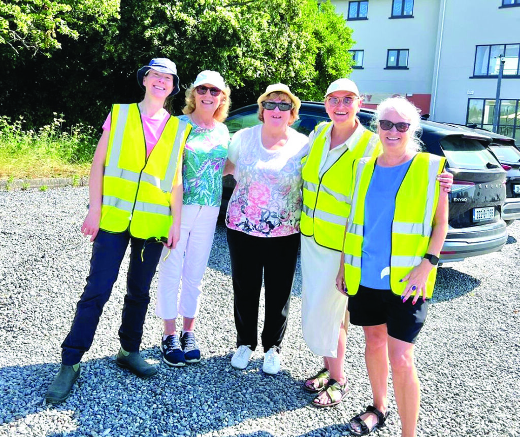 5 LL 04 Helping with the clean up for Lusk Tidy Towns Karla Pinner Anne Morgan Roseanna Darby Ulla ORiordan and Nuala Carberry