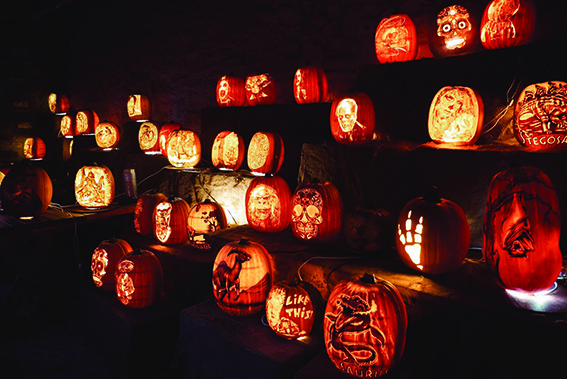 2 01 1 Getting ready for spooks and festivities! 2 01 1