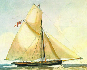 8 DL 06